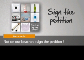 surfrider
