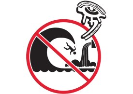 sas1