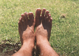 feet