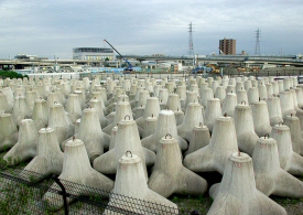 tetrapods1