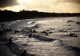 noosa-festival-of-surfing noosa-festival-of-surfing