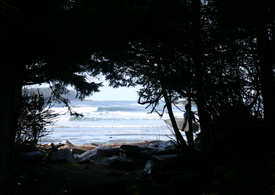 tofino-opener