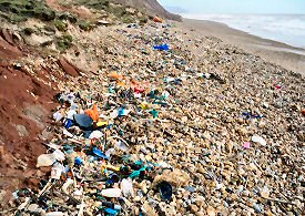 SAS Beach Clean