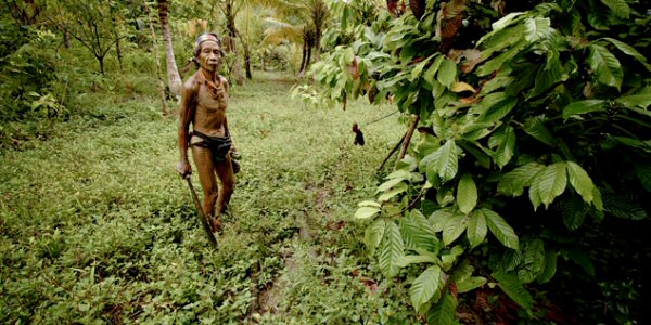 Bye bye Mentawai